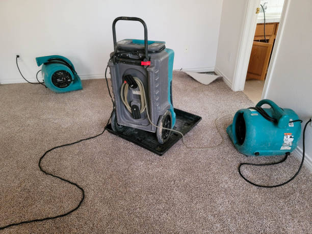 Best Water damage restoration near me  in Trempealeau, WI