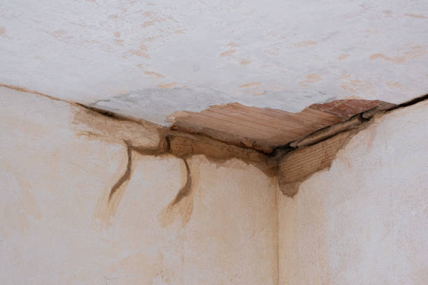 Best Water damage contractors near me  in Trempealeau, WI