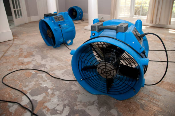 Best Flood damage cleanup  in Trempealeau, WI