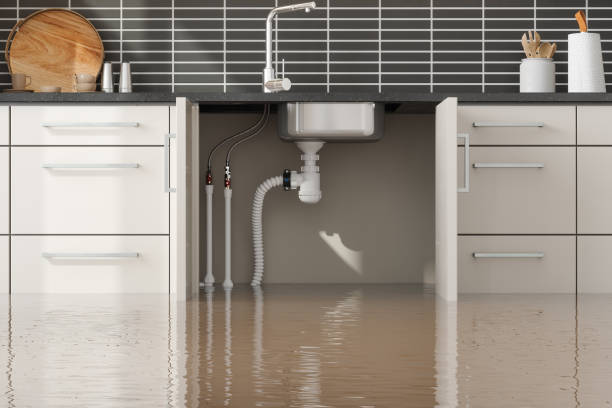 Best Flood restoration services  in Trempealeau, WI
