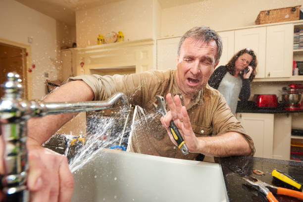 Best Flooded house restoration  in Trempealeau, WI
